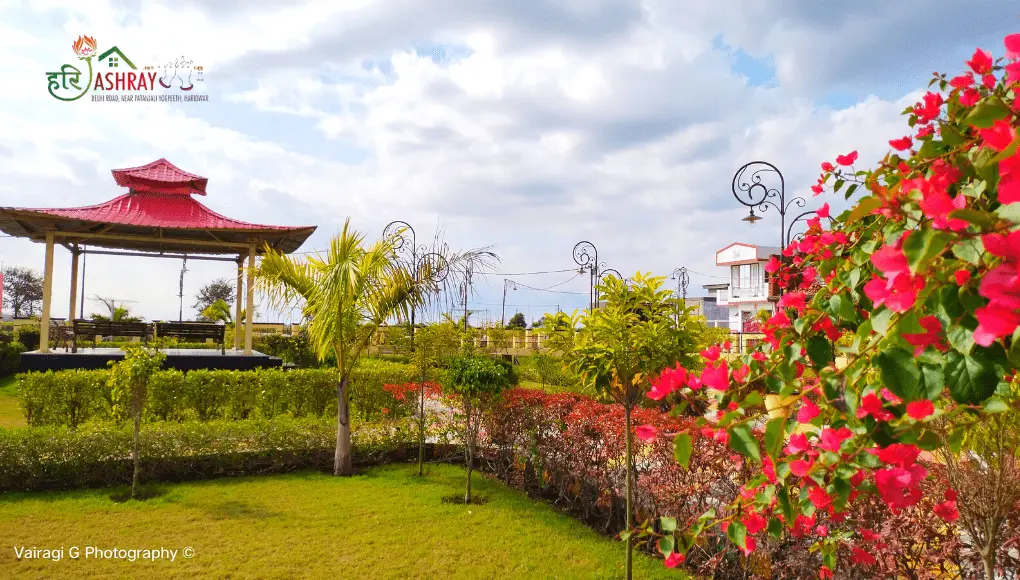land for sale in haridwar